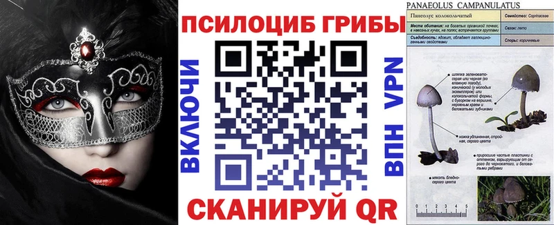 магазин Гаврилов-Ям Галлюциногенные грибы мухоморы